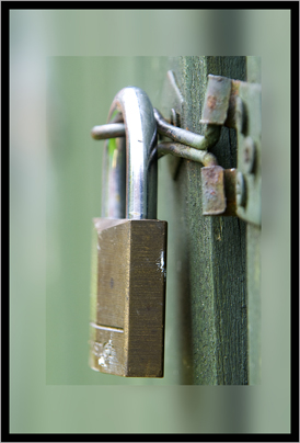 Garden Lock 8th August 2010